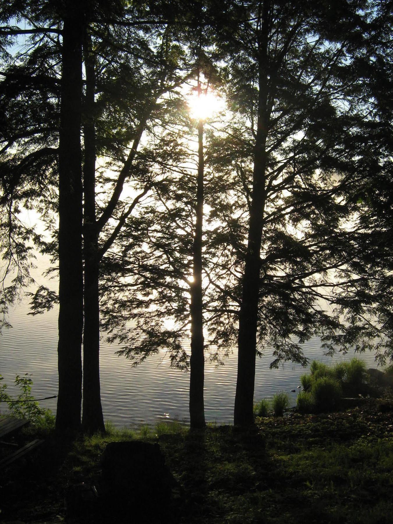 Black Lake Cabins Torrance Exterior foto
