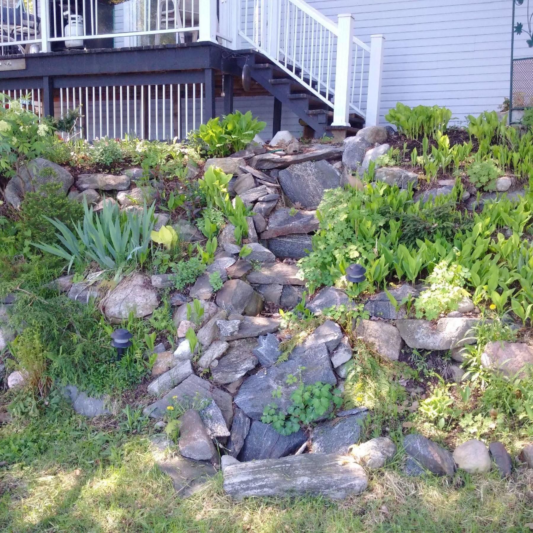 Black Lake Cabins Torrance Exterior foto
